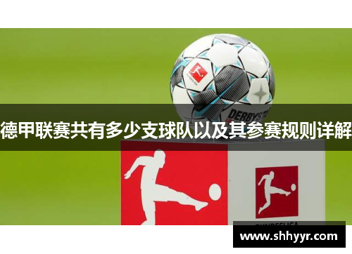 德甲联赛共有多少支球队以及其参赛规则详解