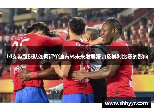 14支英超球队如何评价迪布林未来发展潜力及其对比赛的影响