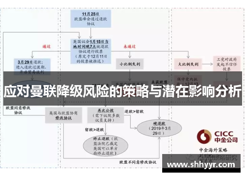 应对曼联降级风险的策略与潜在影响分析