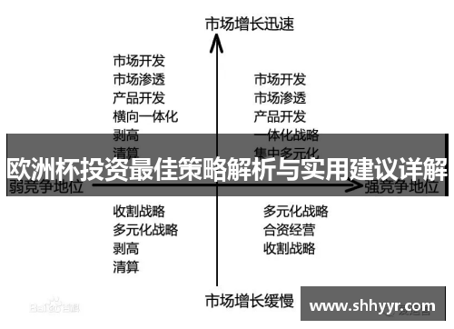 欧洲杯投资最佳策略解析与实用建议详解